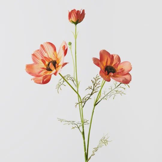 Coreopsis Spray Orange