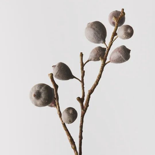 Fig Spray - Coffee