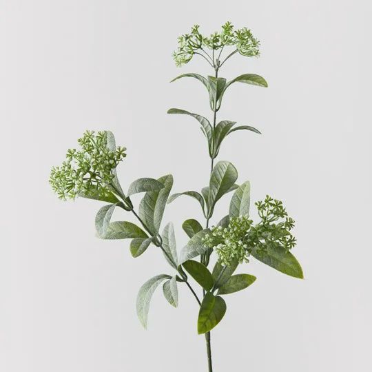 Tea Spray - Green