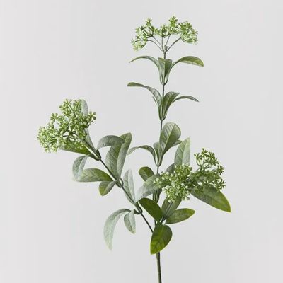 Tea Spray - Green