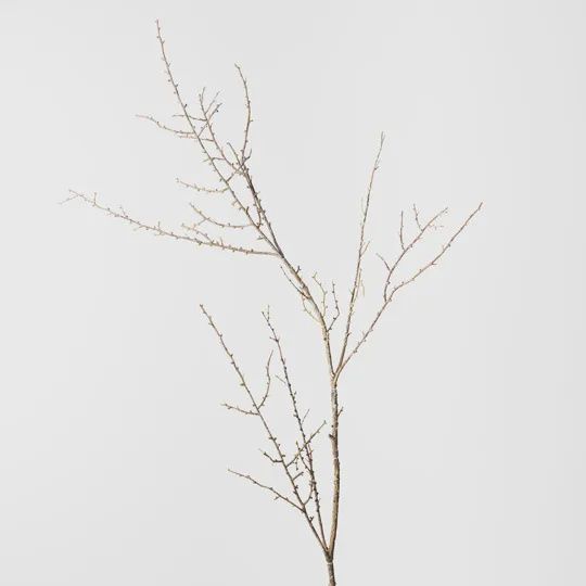 Twig Spray - Brown