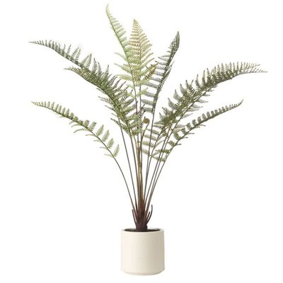 Fern Pot Green