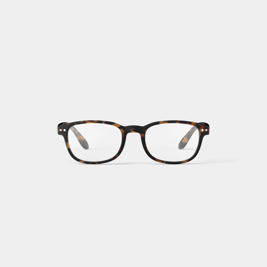 Izipizi: Reading Collection B - Tortoise