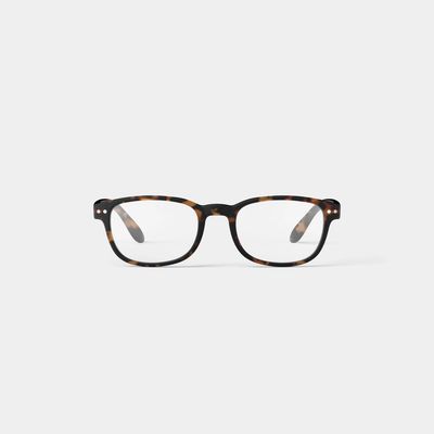 Izipizi: Reading Collection B - Tortoise
