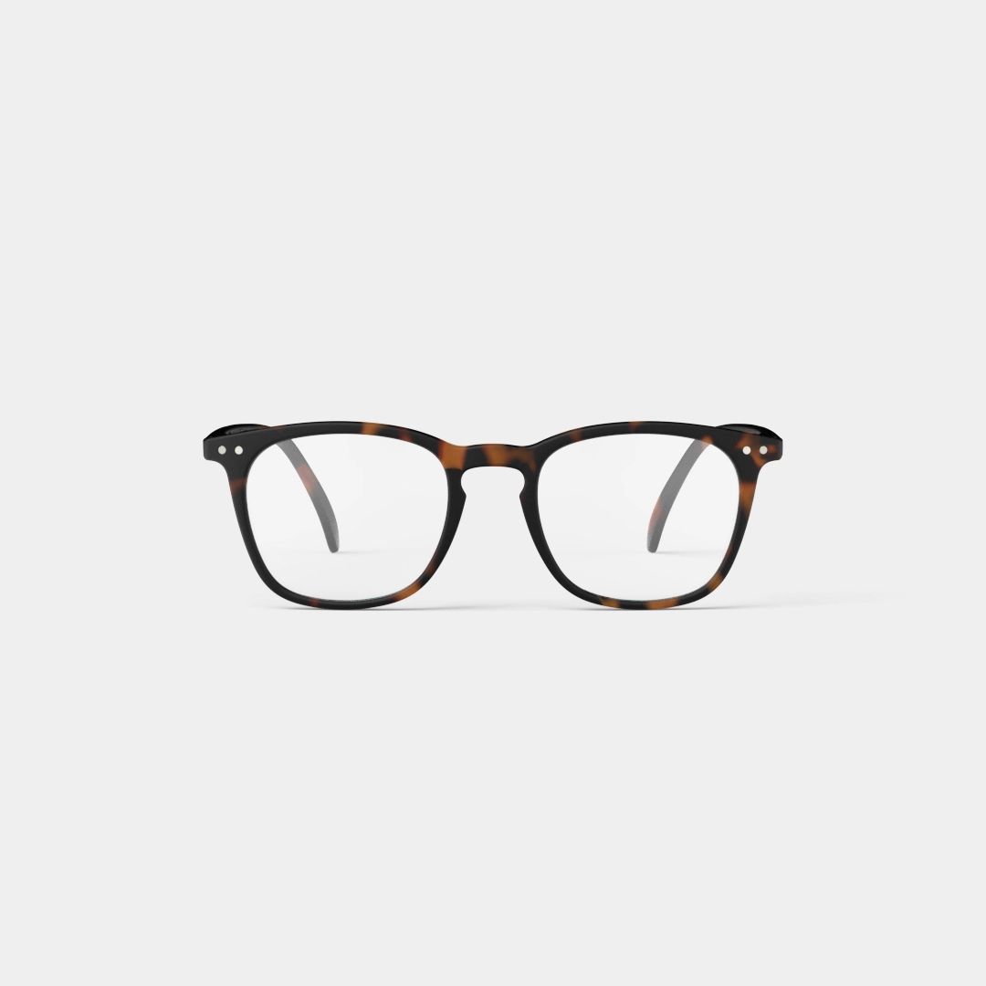 Izipizi: Reading Collection E - Tortoise