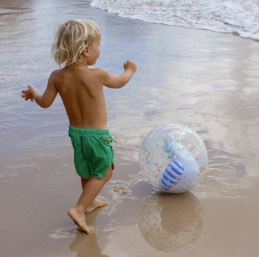 3D Inflatable Beach Ball Sammy the Seagull Blue Stripe