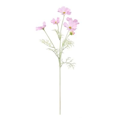 Cosmos Flower Light Pink