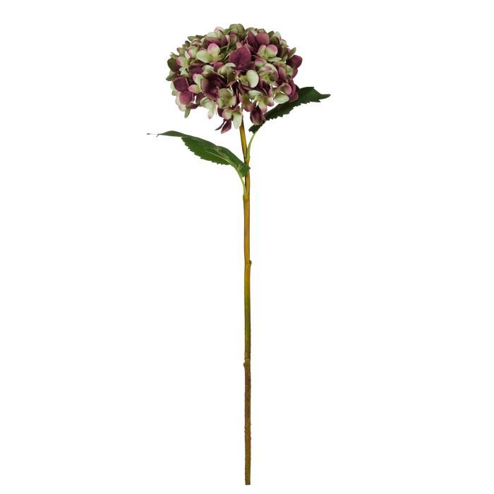 Hydrangea Stem - Burgundy/Green