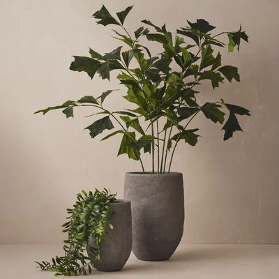 Palm Fishtail - Green - 110cm