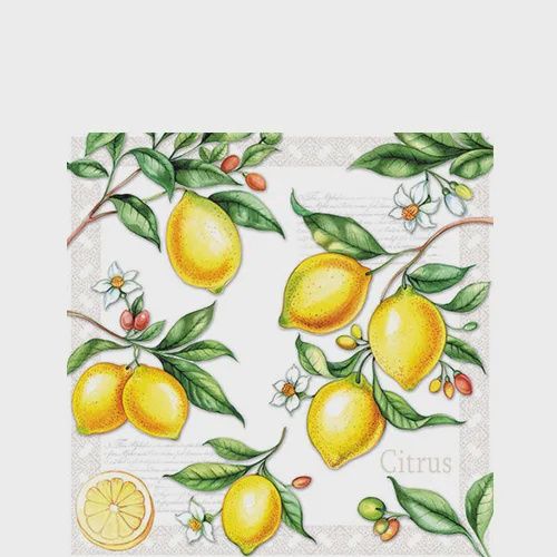 Citrus - Paper Napkins - Pack of 20 - Cocktail Size