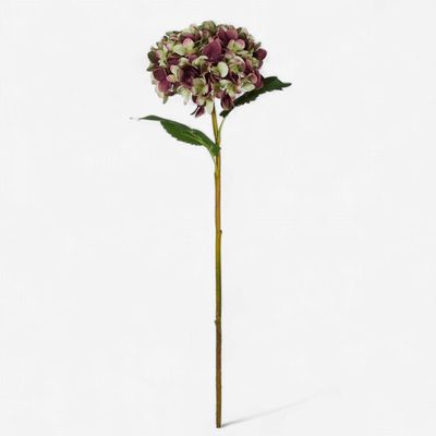 Hydrangea Stem - Burgundy/Green