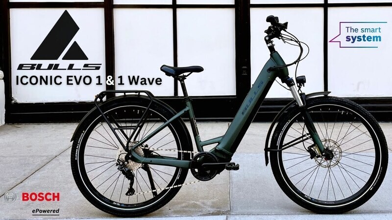 Bulls Iconic EVO 1 750 48cm