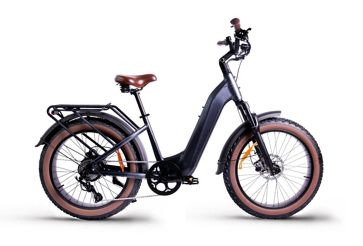 Magnum Bliss Graphite Gray 24&quot; Fat Tire