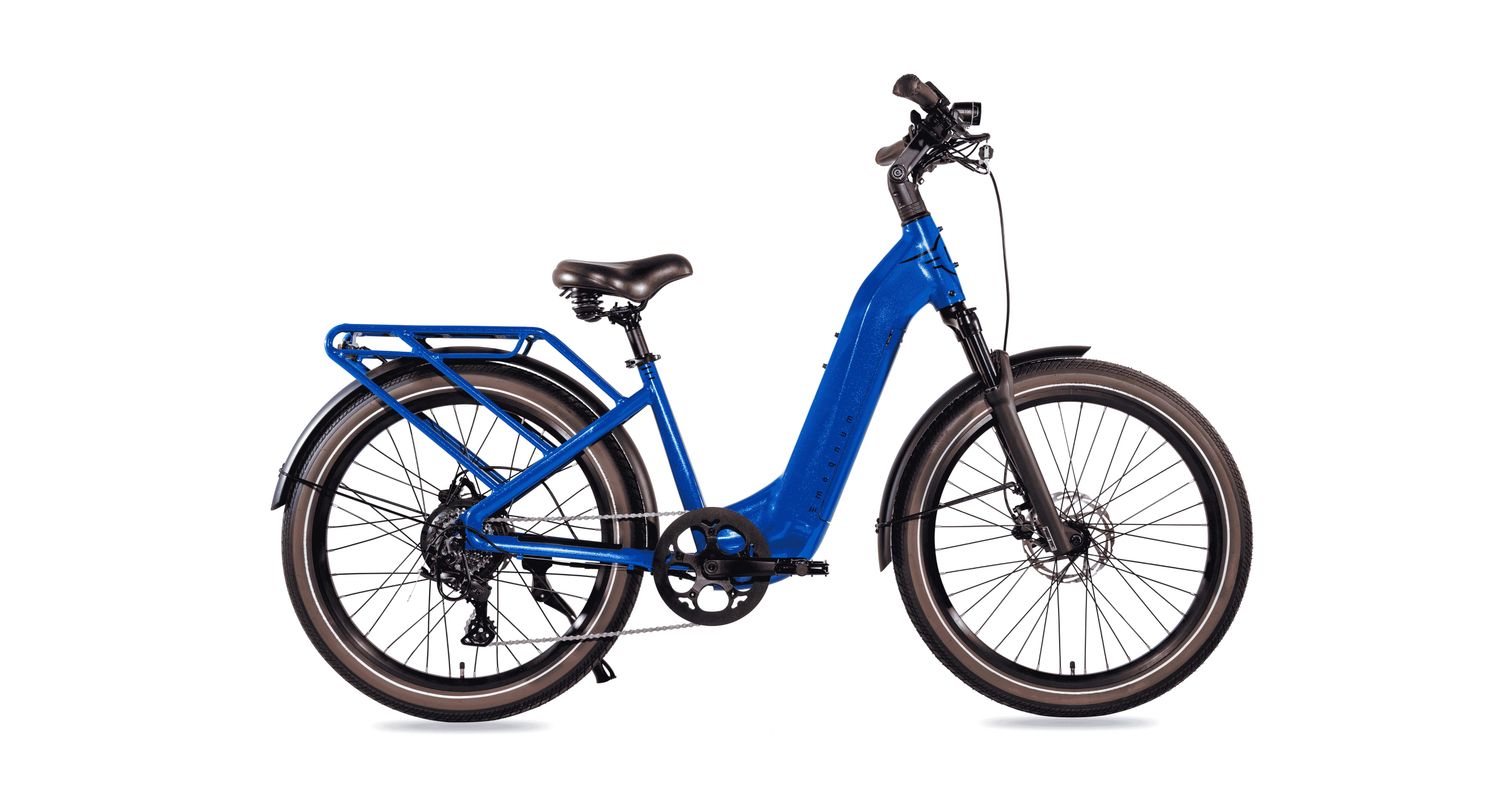 Magnum Melody Blue 48v/15a
