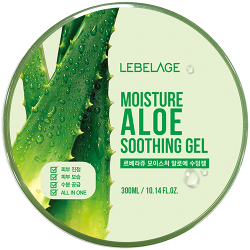 LEBELAGE Moisture Aloe Soothing Gel