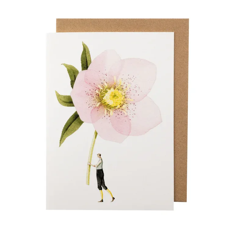 Laura Stoddart Pink Hellebore Gift Card