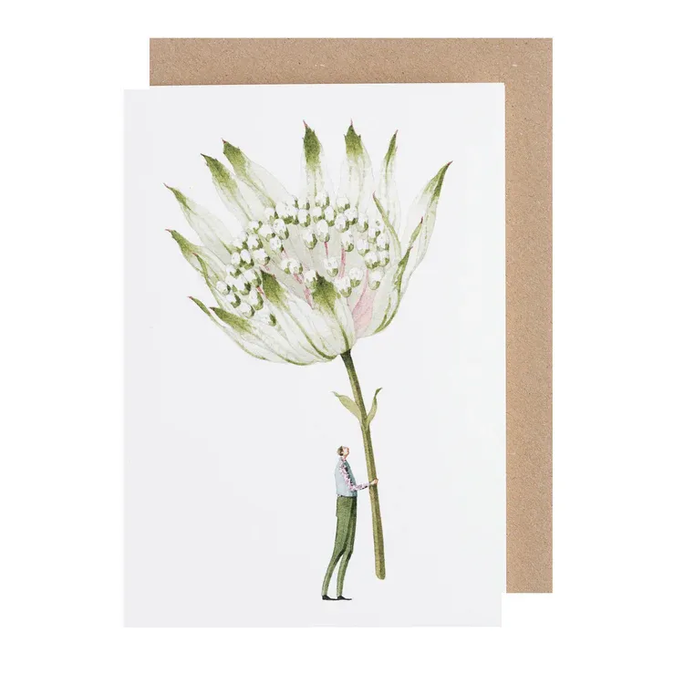 Laura Stoddart Astrantia card