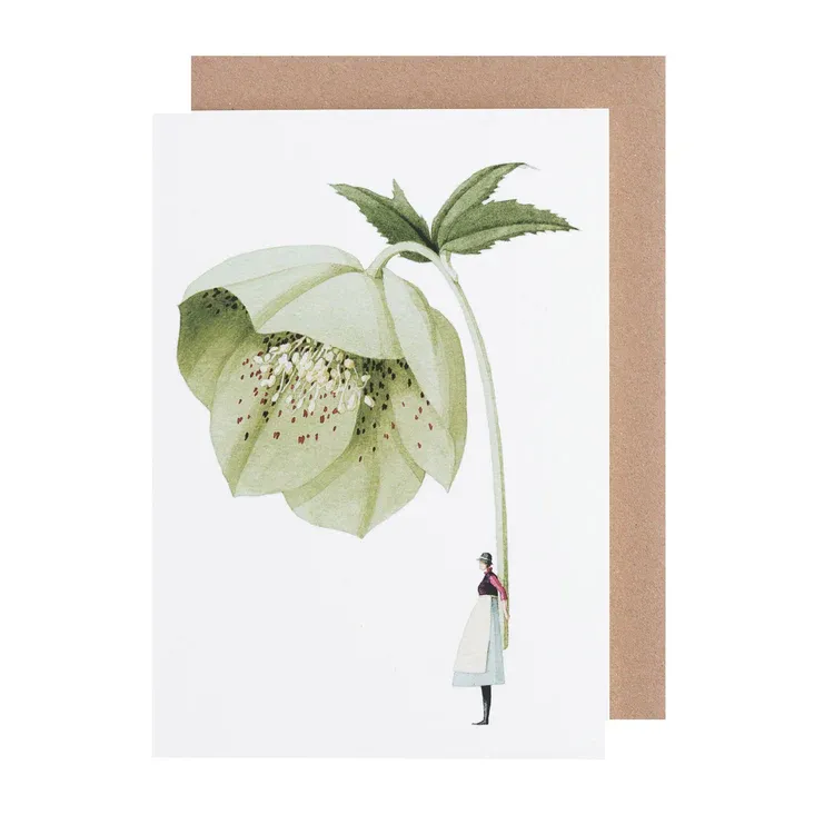 Laura Stoddart Green Hellebore Card