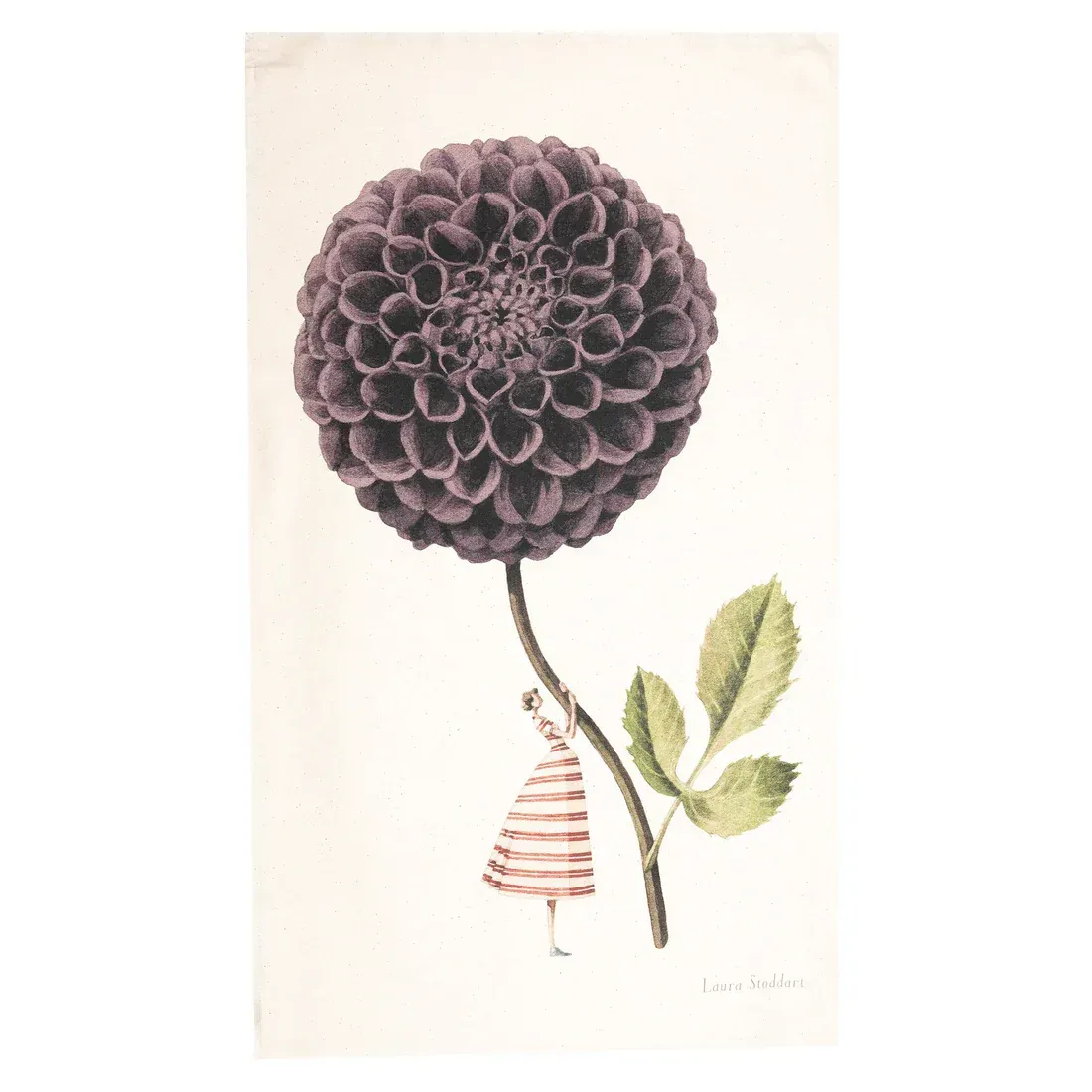 Laura Stoddart In Bloom Dahlia Tea Towel