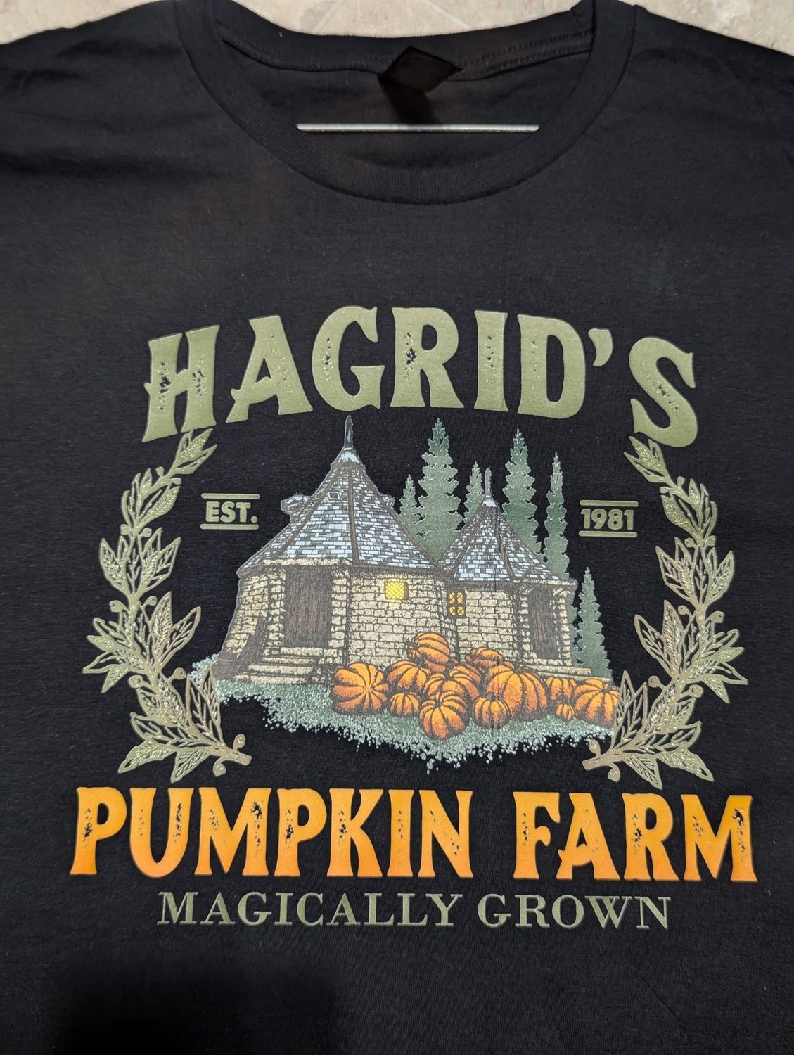 Hagrid&#39;s Pumpkin Farm