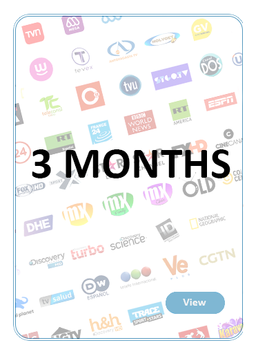 3 MONTHS