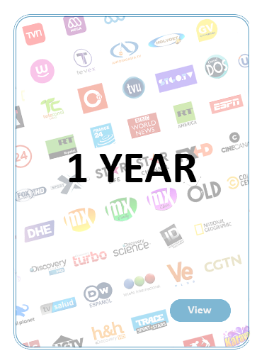 1 YEAR