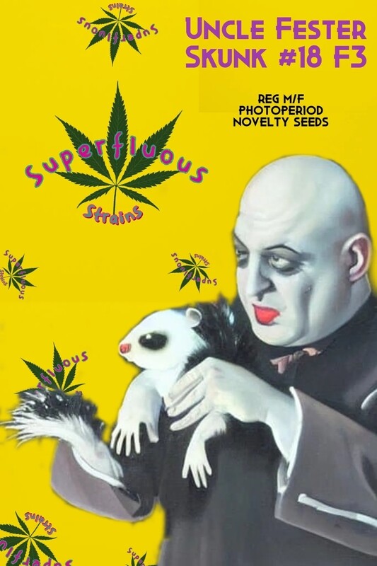 Uncle Fester Skunk #18 F3 