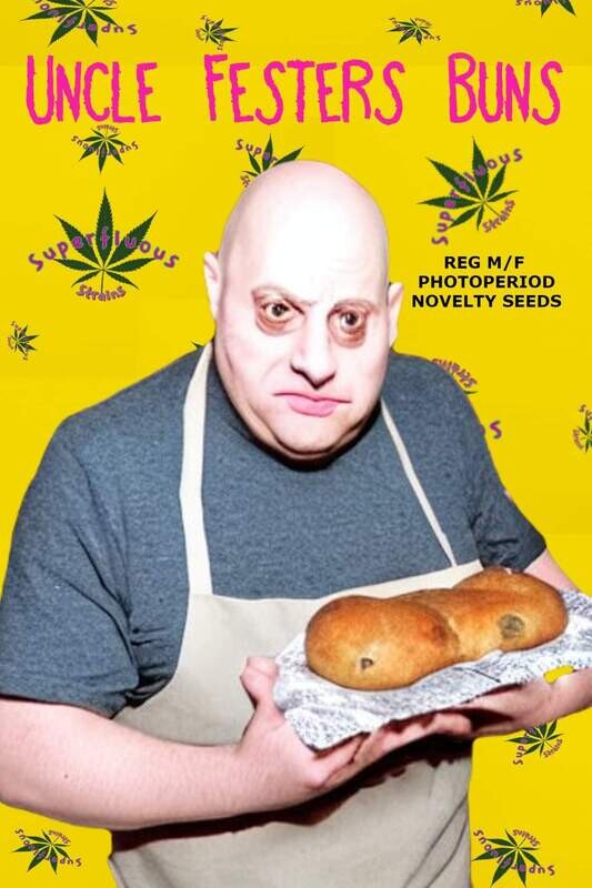 Festers Buns 
