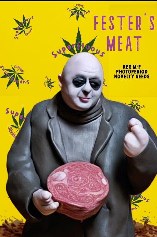 Festers Meat 