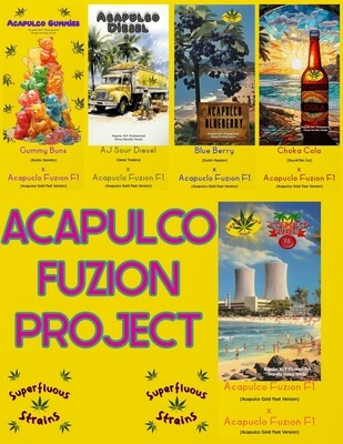 Acapulco Fuzion Project