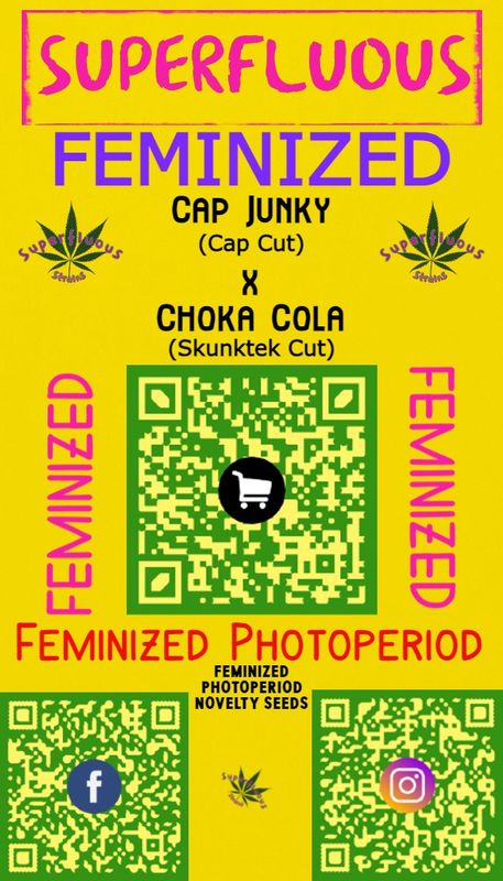 Cap Junky x Choka Cola