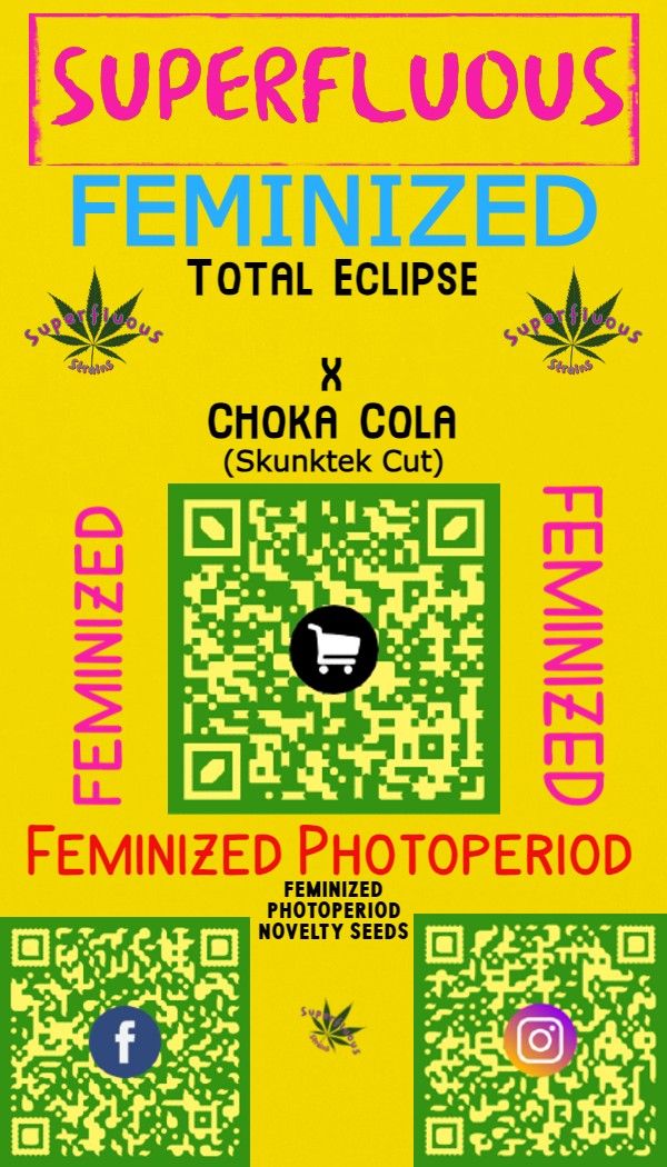 Total Eclipse x Choka Cola