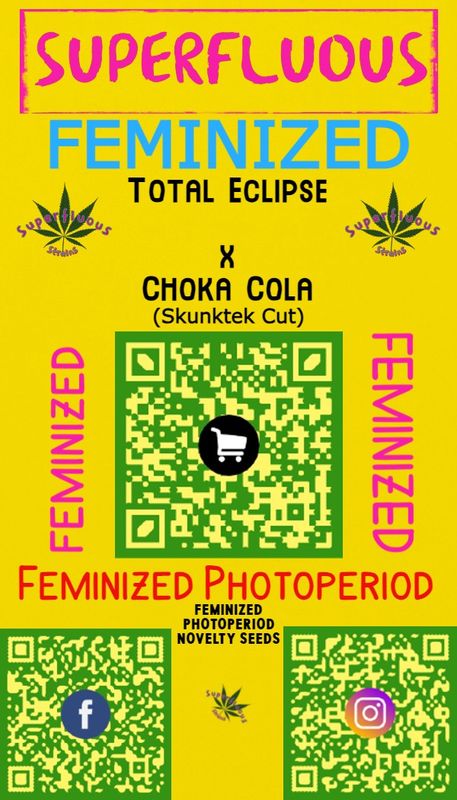 Total Eclipse x Choka Cola