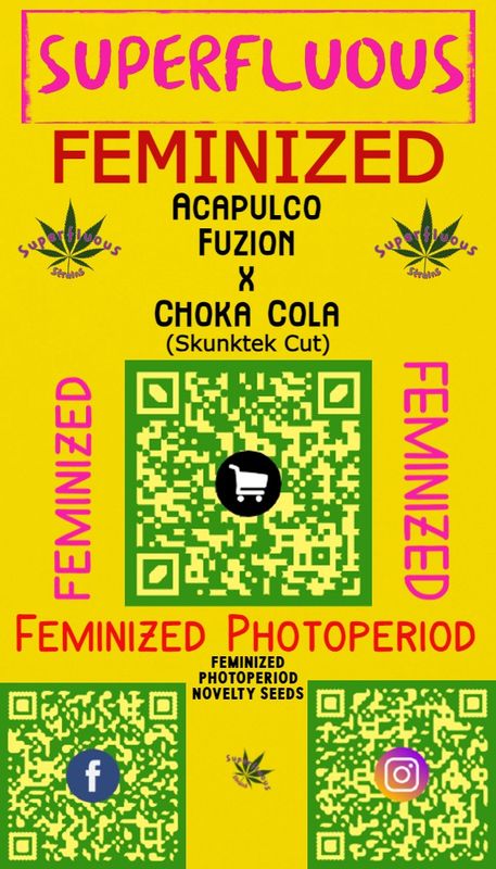 Acapulco Fuzion x Choka Cola