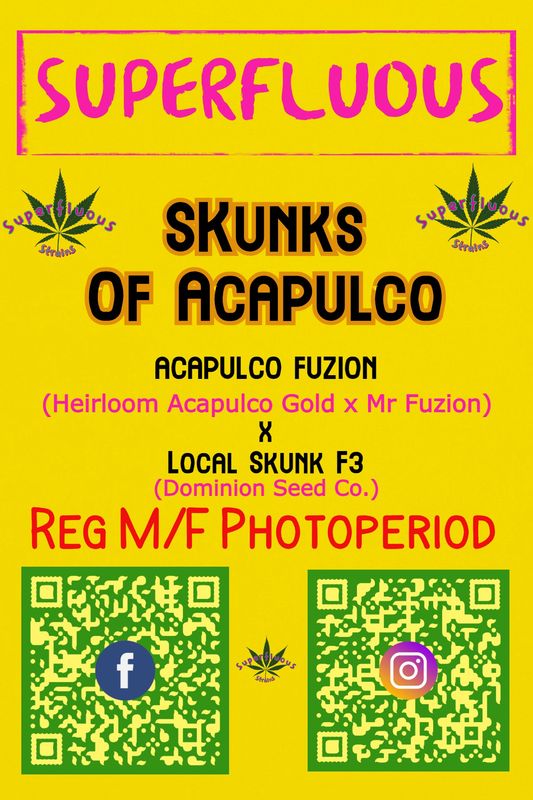 Skunks Of Acapulco