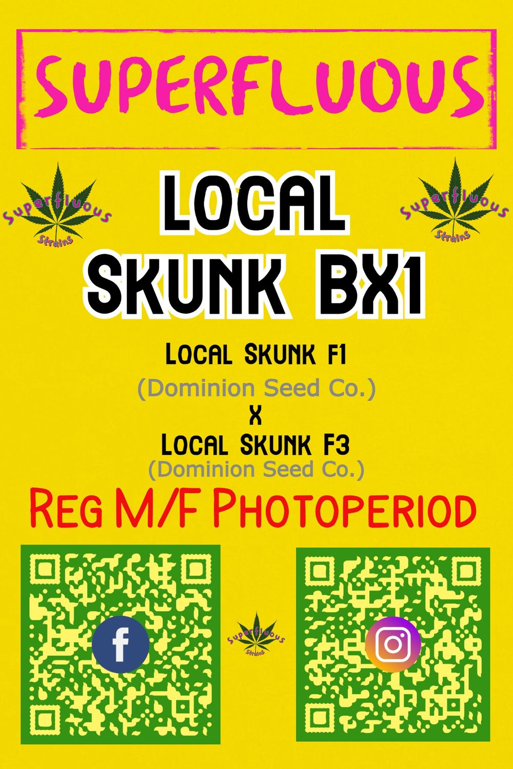 Local Skunk BX1