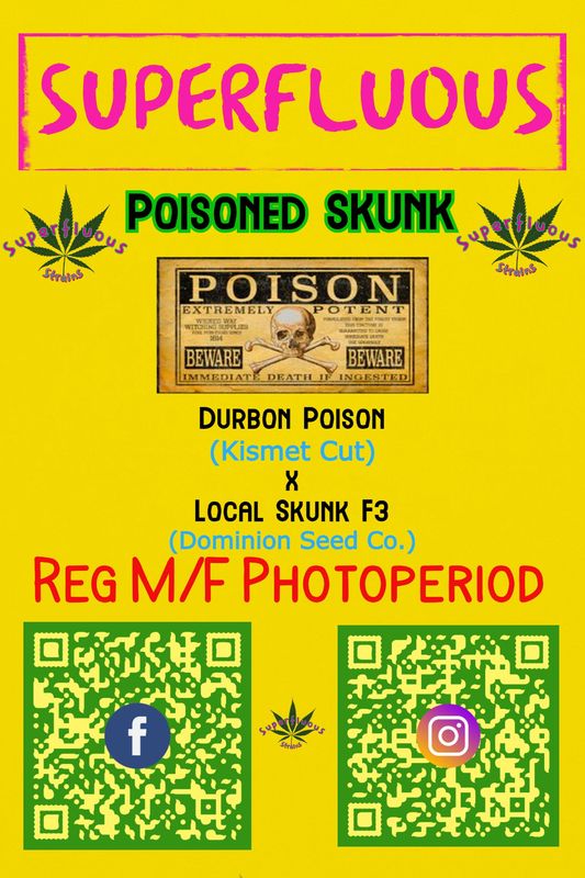 Poisoned Skunk