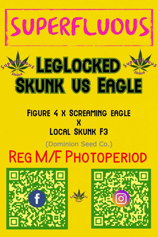 Leg Locked Skunk Vs Eagle