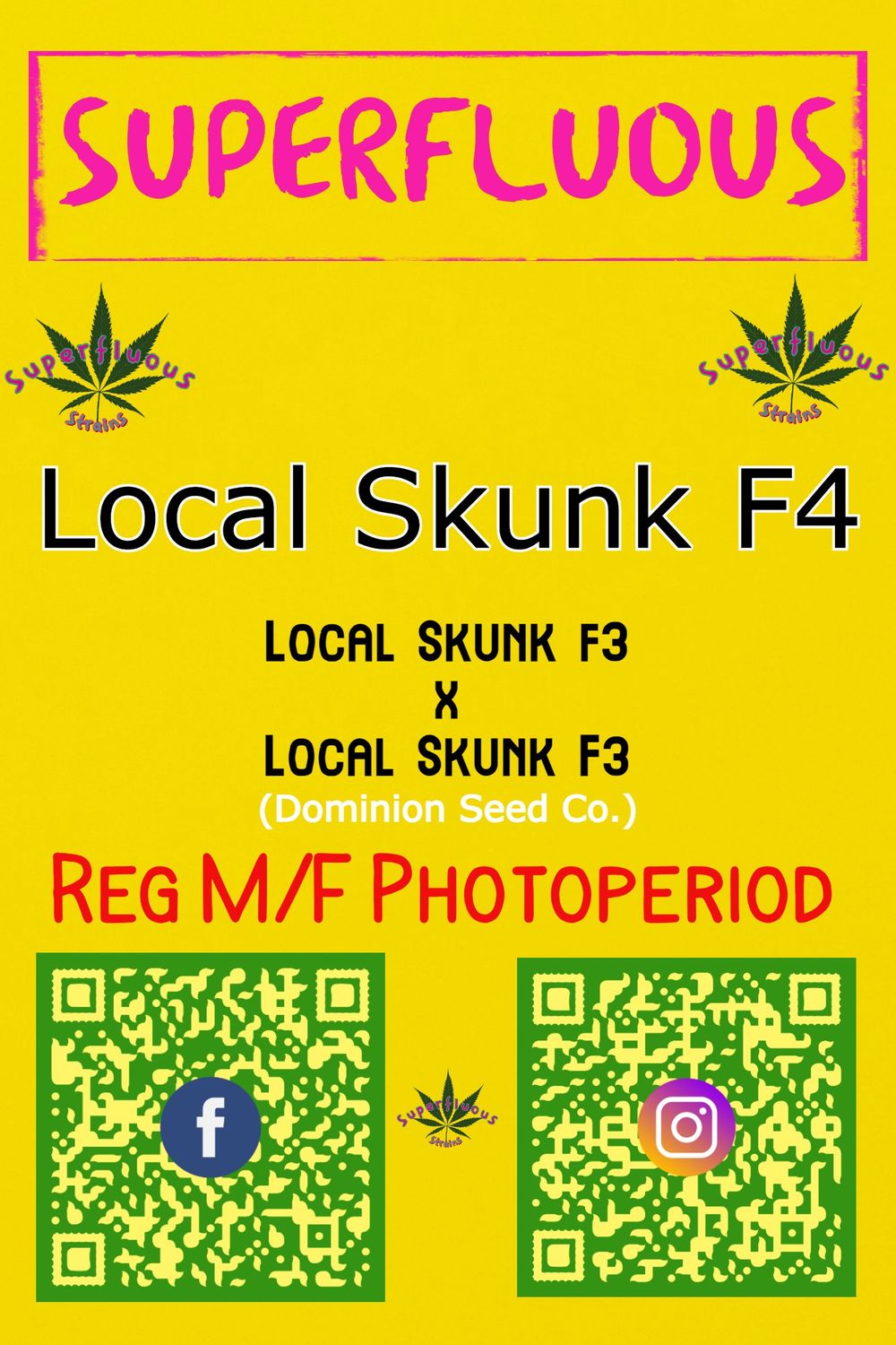 Local Skunk F4