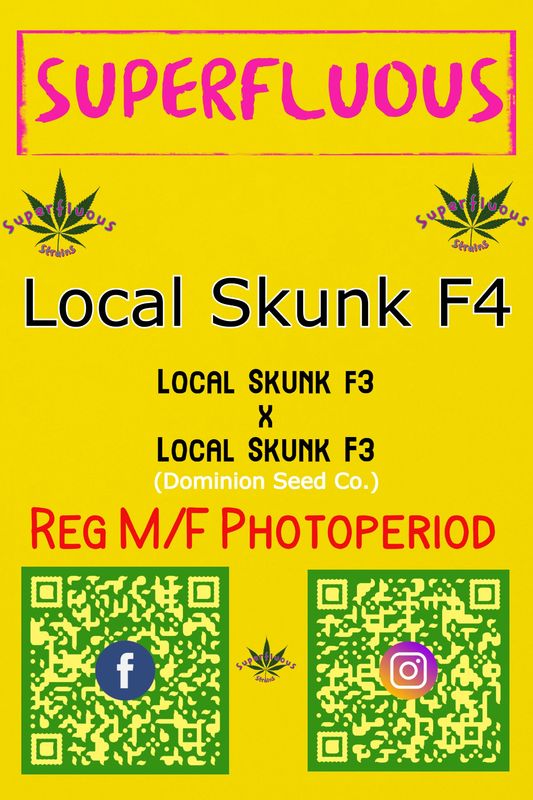 Local Skunk F4