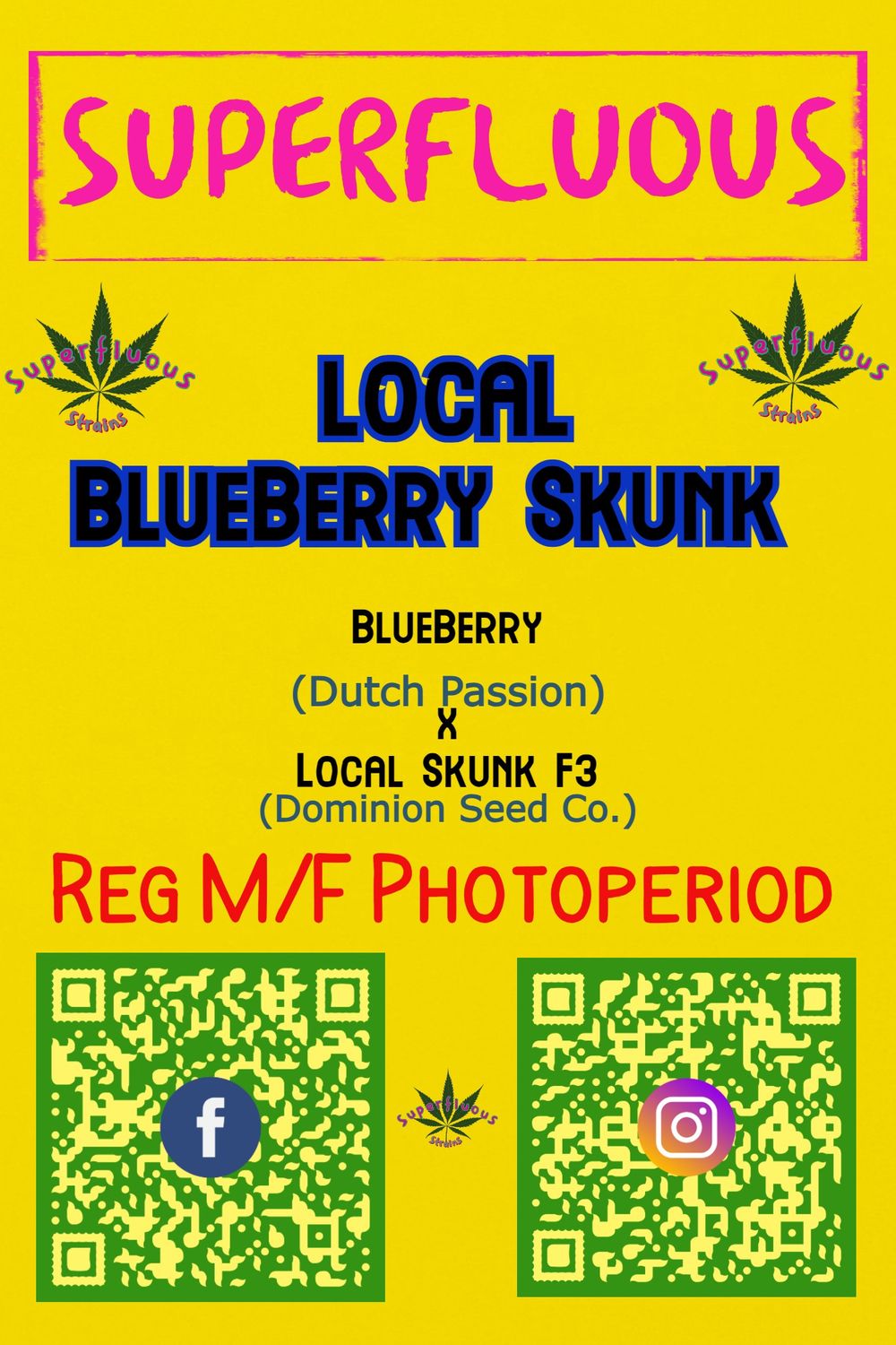 Local Blueberry Skunk
