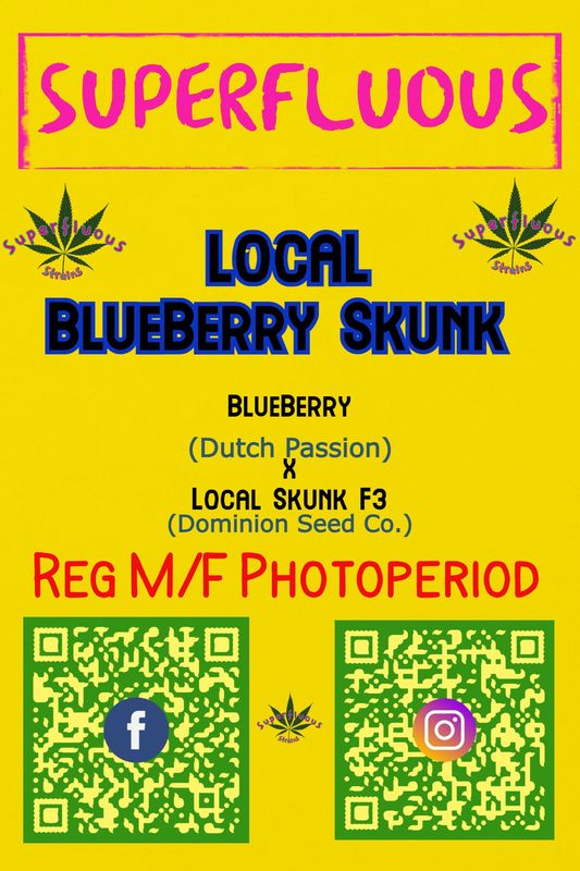 Local Blueberry Skunk