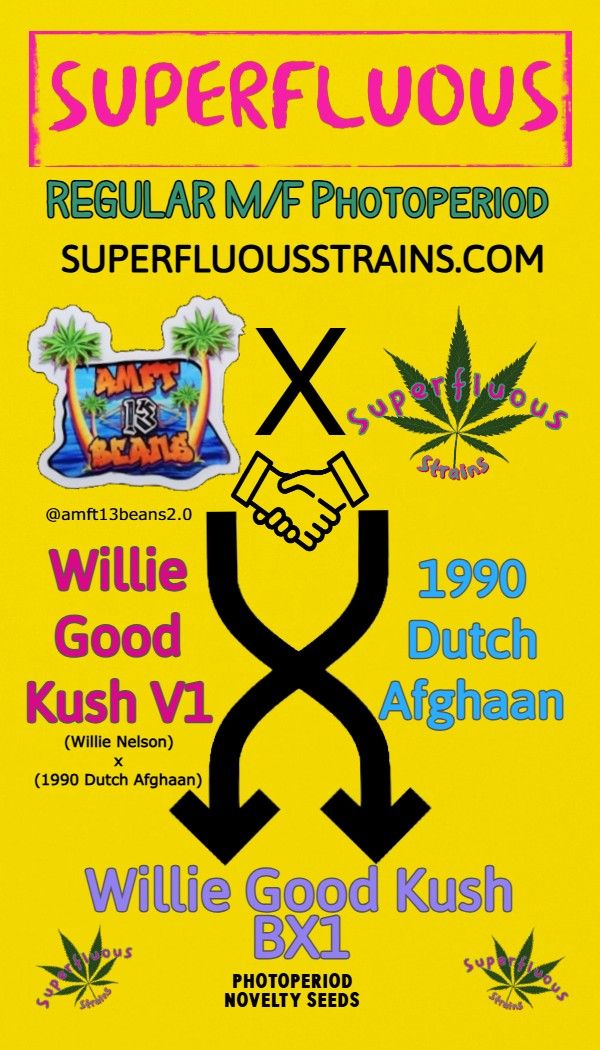 Willie Good Kush BX1