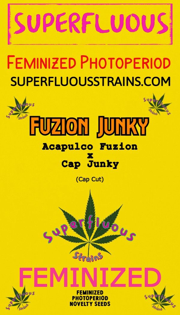 Fuzion Junky