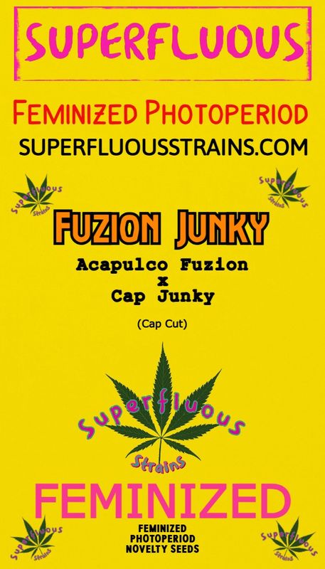 Fuzion Junky