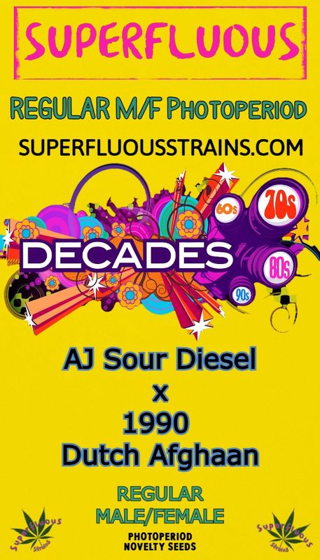 Aj Sour Diesel x 1990 Dutch Afghaan