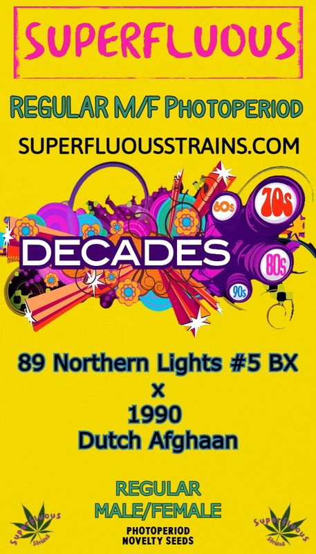 89 Northern Light #5 BX x 1990 Dutch Afghaan
