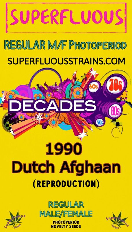 1990 Dutch x 1990 Dutch Afghaan