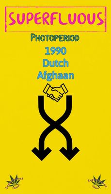 Collaborations 90&#39;s Afghaan