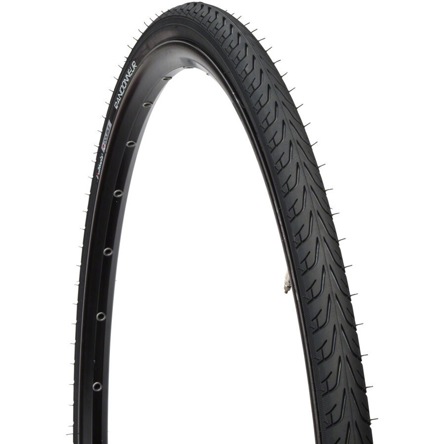 Vittoria Randonneur II Tire - 700 x 25, Clincher, Wire, Black, 33tpi